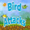 Bird  Attacks